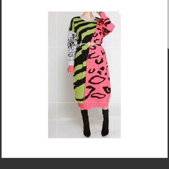 Zebra Print Sweater Dress w/out belt - Picture 2 of 8